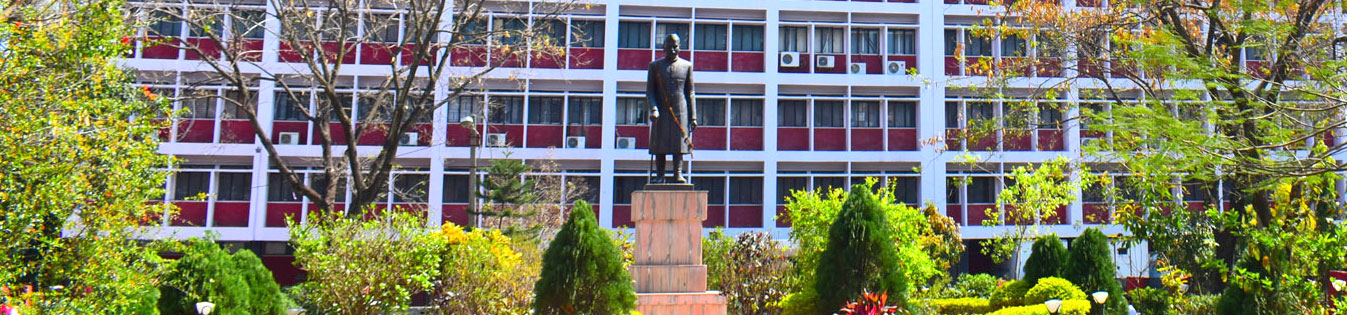 Chairperson's Message